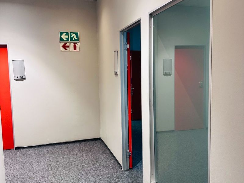 A clean office hallway featuring carpeted flooring, a suspended ceiling with recessed lighting, and glass partitioning between office spaces.