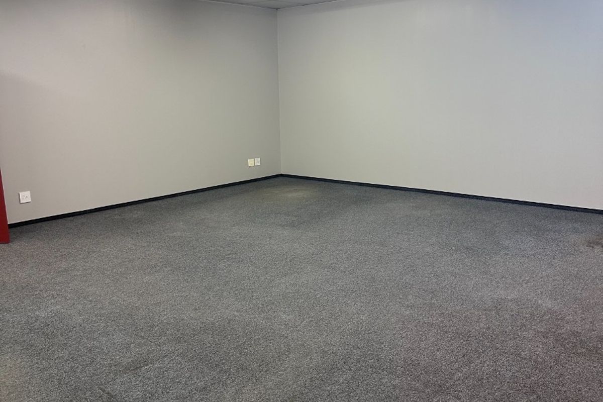A clean, empty office space featuring neutral walls, carpeted flooring, and a suspended ceiling with integrated fluorescent lighting.