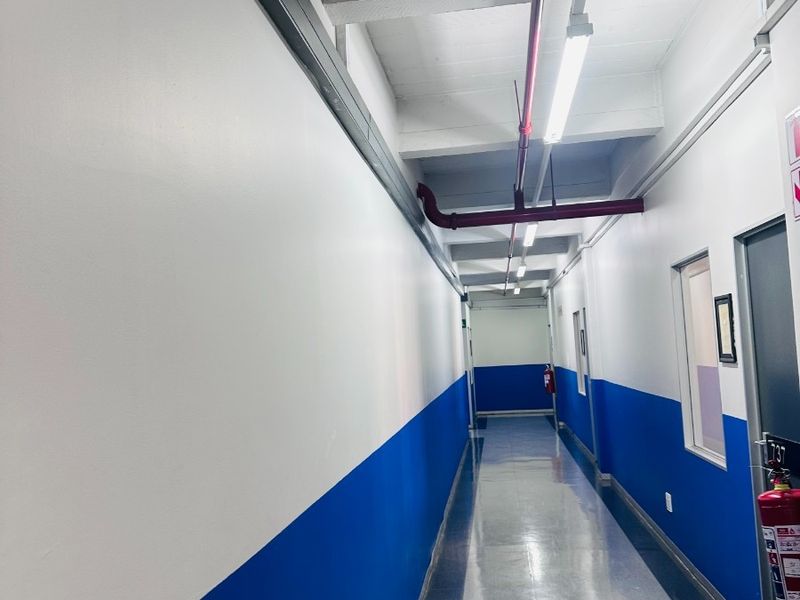 A clean, functional commercial hallway featuring exposed fire safety infrastructure, fluorescent lighting, and durable vinyl flooring with painted wall finishes.