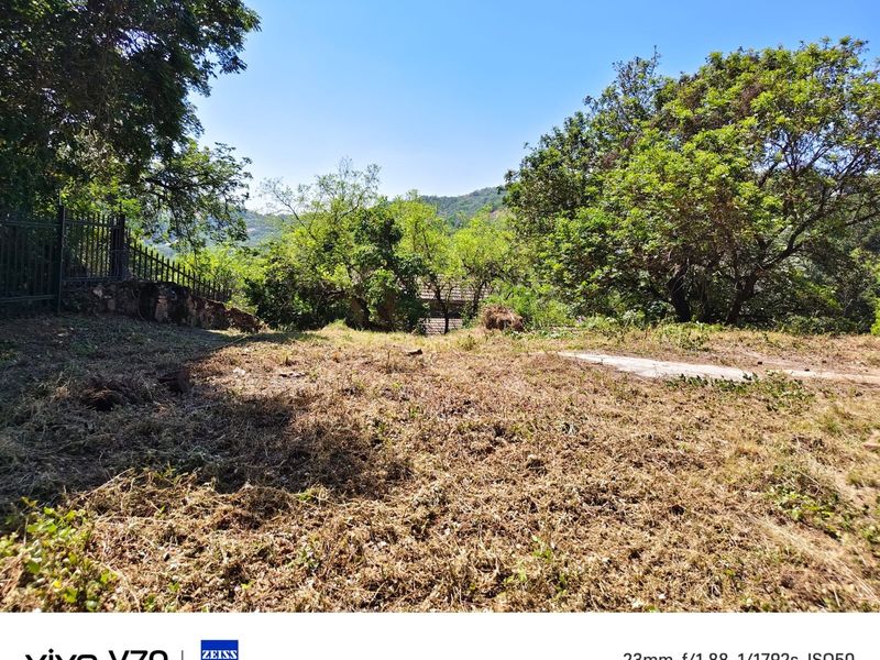 A vacant residential plot featuring mature trees, a stone retaining wall, and metal perimeter fencing, offering a natural landscape setting.