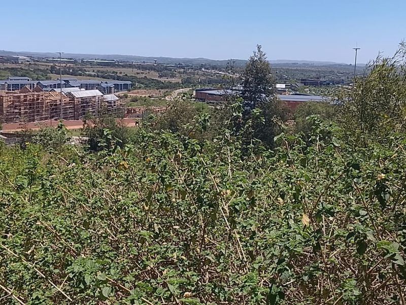 ERASMUSKLOOF | 1,500m2 VACANT STAND WITH EXCEPTIONAL POTENTIAL - Photo 3