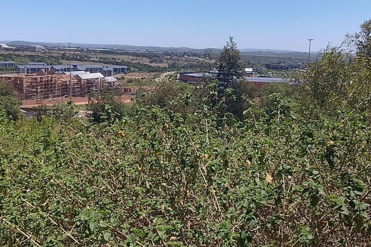 An elevated view overlooking the surrounding landscape and nearby residential development, featuring dense natural vegetation in the foreground.