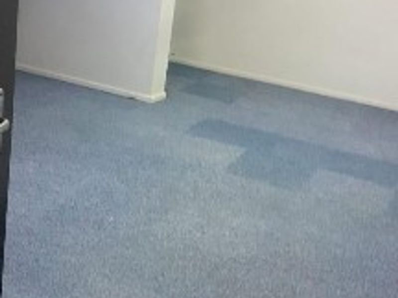 An empty office space featuring blue carpet flooring and a suspended ceiling, suitable for a variety of commercial or industrial business uses.