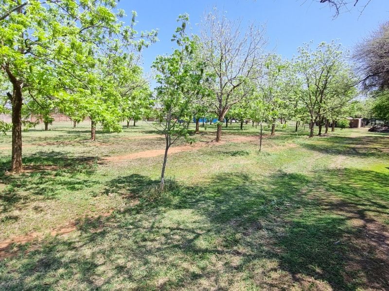 Expansive garden area featuring mature trees, established lawn, and a small outbuilding on the property grounds.