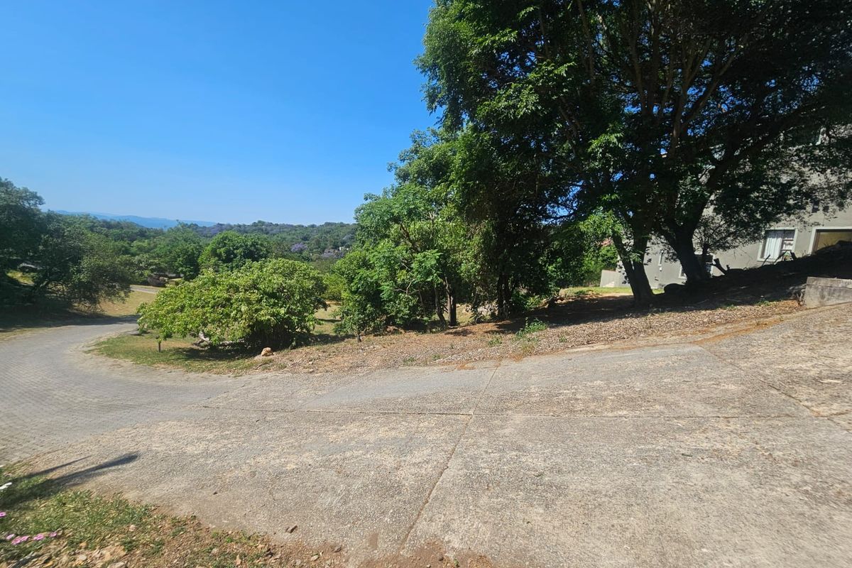 A view of the sloped concrete driveway leading to the residential property, surrounded by mature trees and natural landscape.