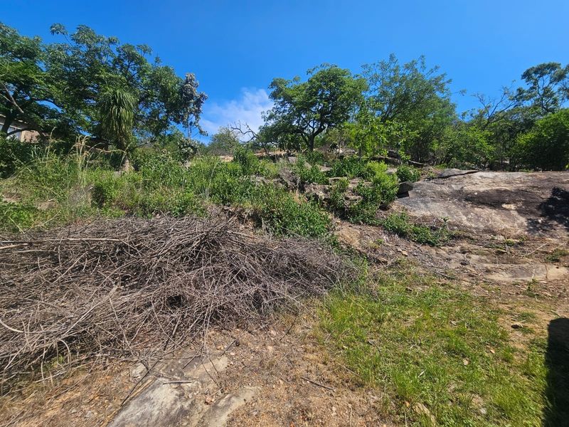 A view of the vacant residential land featuring natural rock outcrops, mature trees, and established indigenous vegetation.