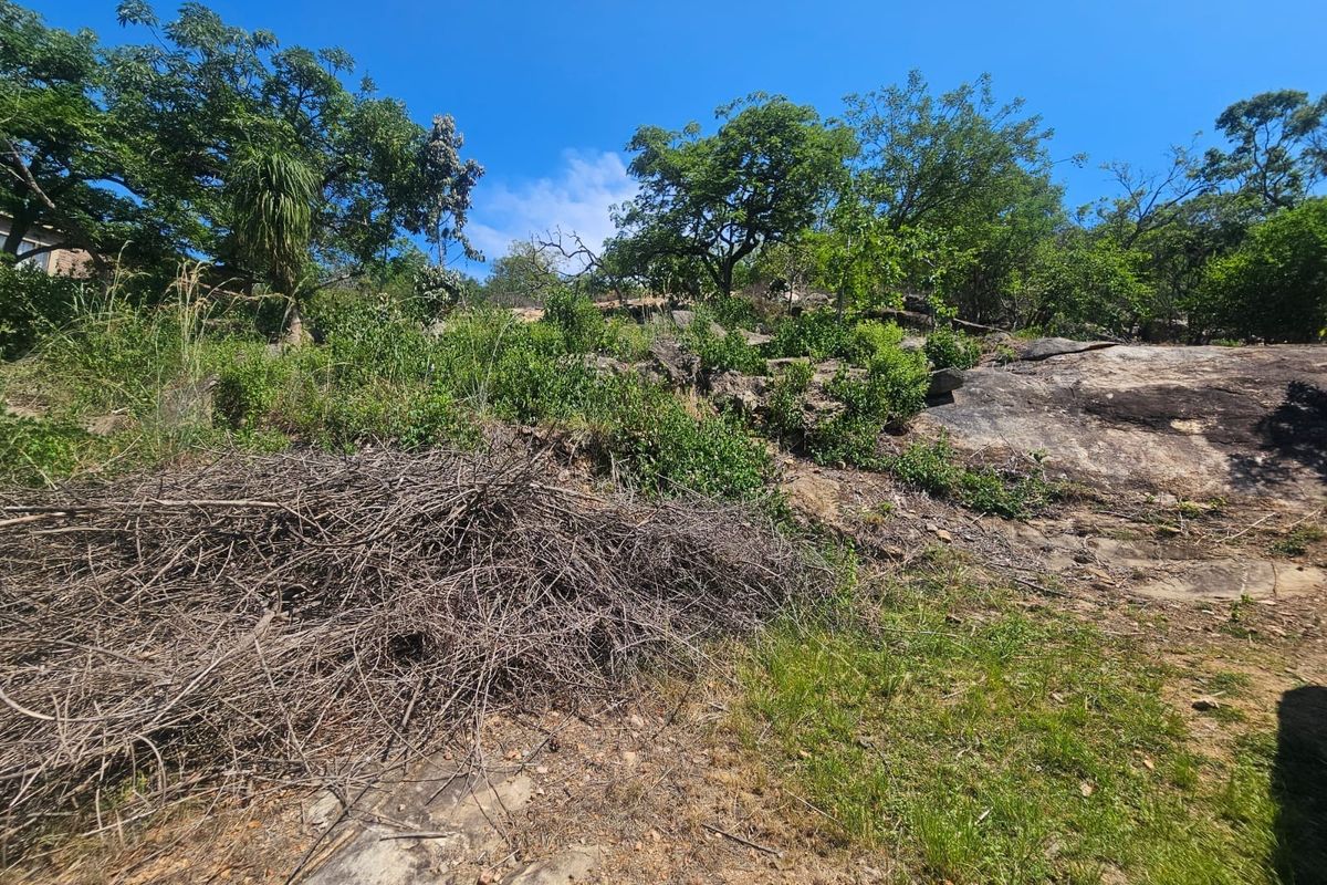 A view of the vacant residential land featuring natural rock outcrops, mature trees, and established indigenous vegetation.