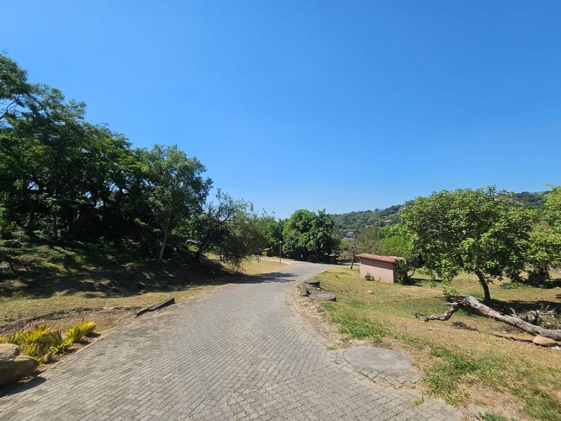 A view of a paved driveway leading through a well-maintained residential property with mature trees and established garden areas.
