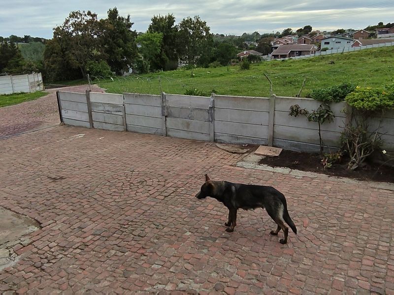 Rear outdoor area featuring cobblestone paving and a precast concrete boundary wall with security fencing.
