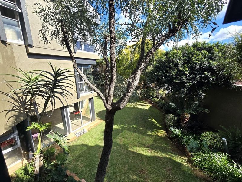 A view of the rear garden and landscaped backyard featuring a multi-level building facade with large sliding glass doors.