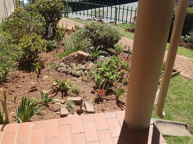 A view from a paved patio overlooking a small garden area with a support column and downpipe visible.
