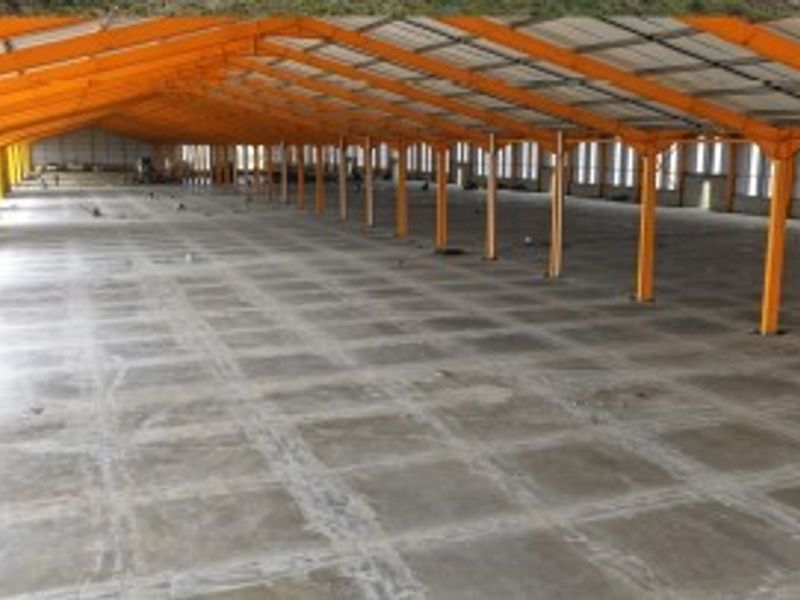 Expansive industrial warehouse space featuring a high-clearance steel portal frame structure and durable concrete flooring, suitable for various storage or manufacturing operations.