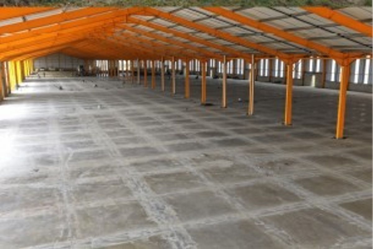 Expansive industrial warehouse space featuring a high-clearance steel portal frame structure and durable concrete flooring, suitable for various storage or manufacturing operations.