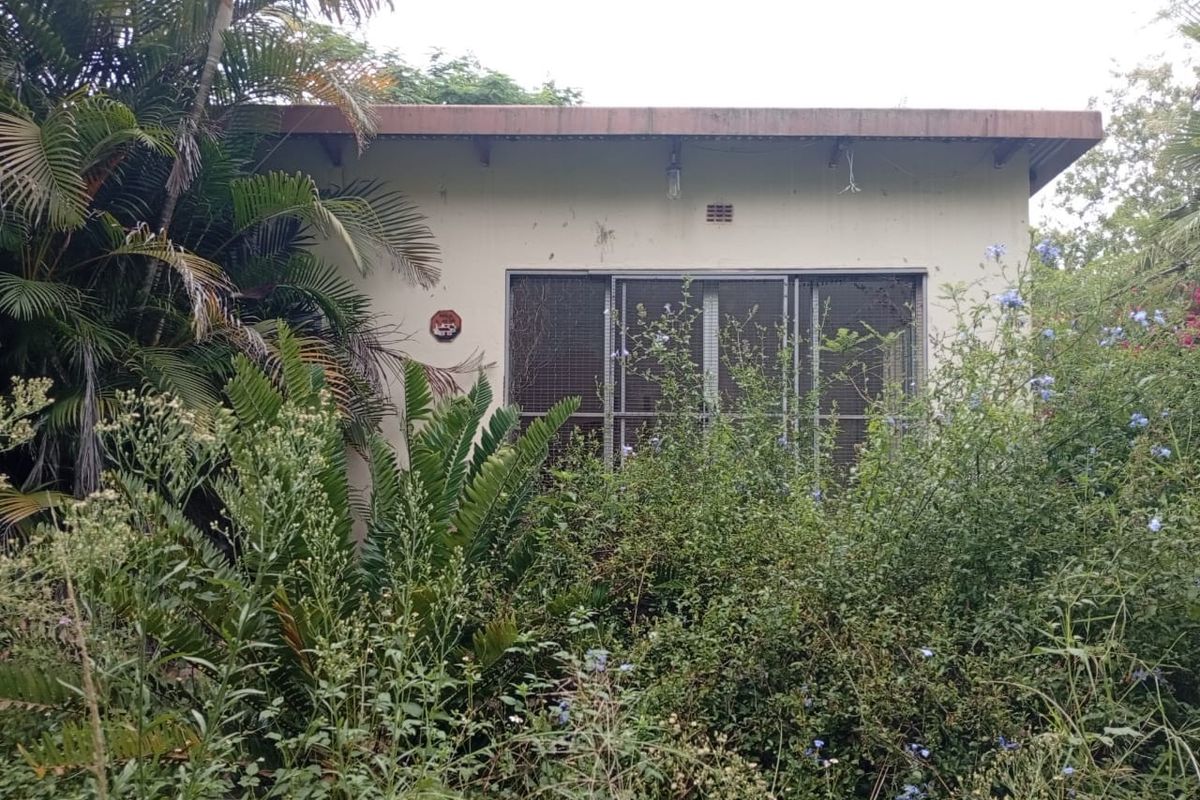 Rear view of a farm outbuilding featuring a metal security screen and corrugated roof, surrounded by dense, overgrown garden vegetation.