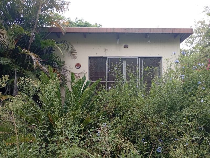 Rear view of a farm outbuilding featuring a metal security screen and corrugated roof, surrounded by dense, overgrown garden vegetation.