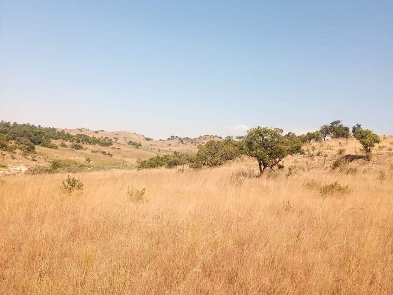 A scenic view of the expansive natural grassland and rolling hills characteristic of the farm landscape.