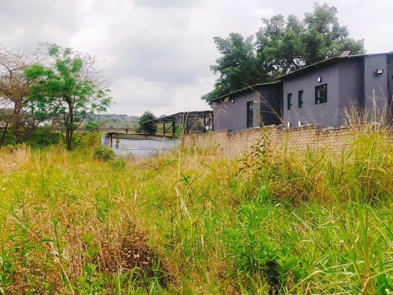 View of the rear yard area featuring a brick boundary wall, water storage tank, and overgrown vegetation on the residential plot.
