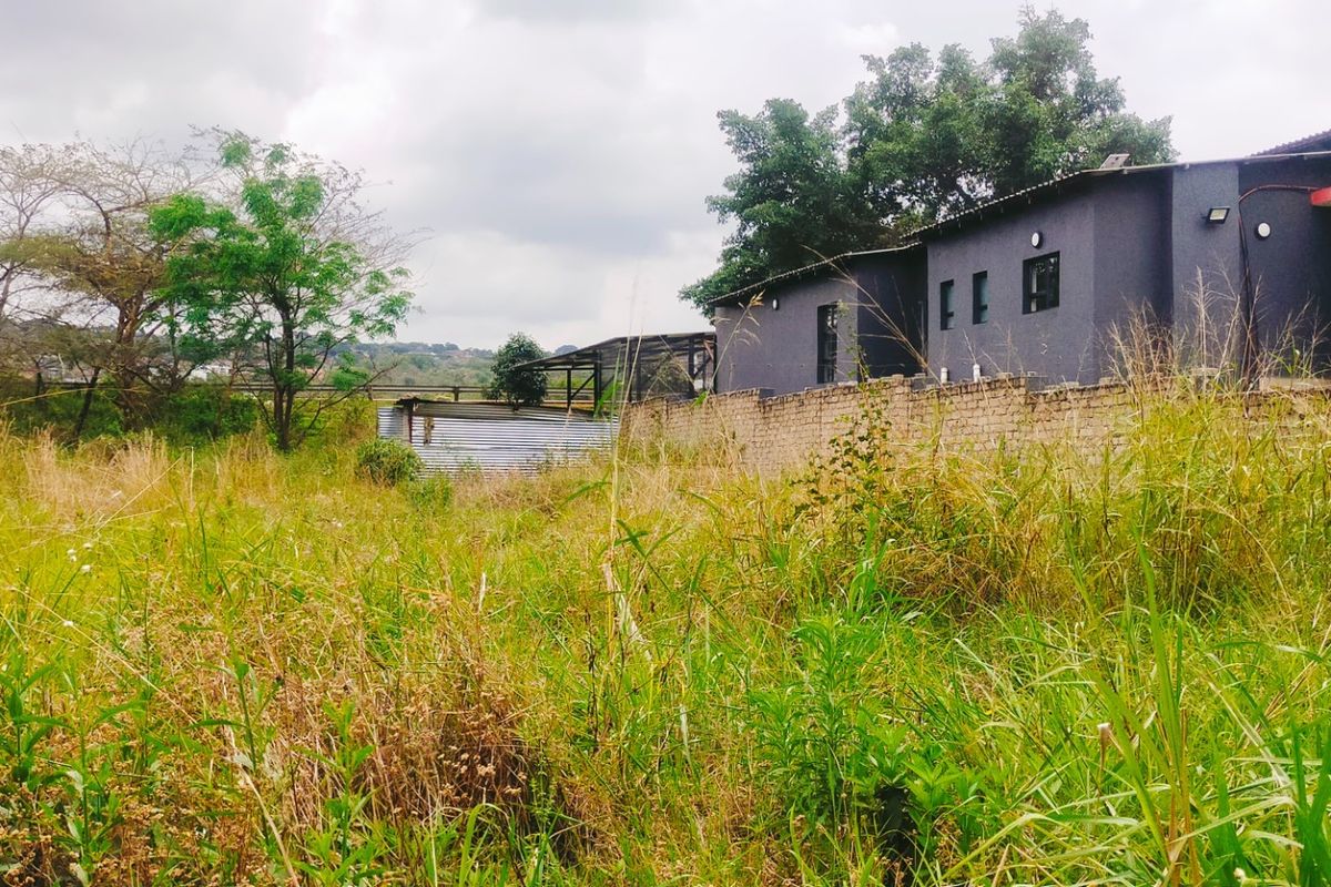 View of the rear yard area featuring a brick boundary wall, water storage tank, and overgrown vegetation on the residential plot.