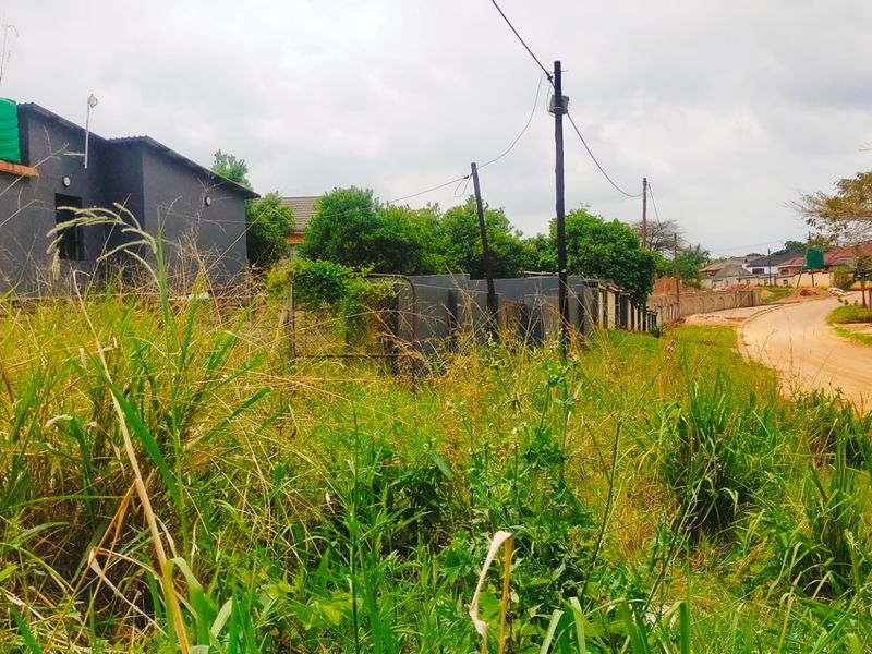 A view of a vacant residential plot adjacent to an unpaved road, featuring boundary walls and overhead utility lines in a developing neighborhood.