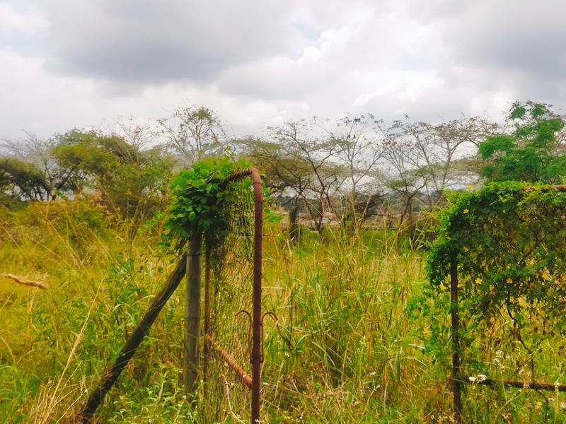 A view of a vacant residential plot featuring an old, rusted metal gate and overgrown vegetation.