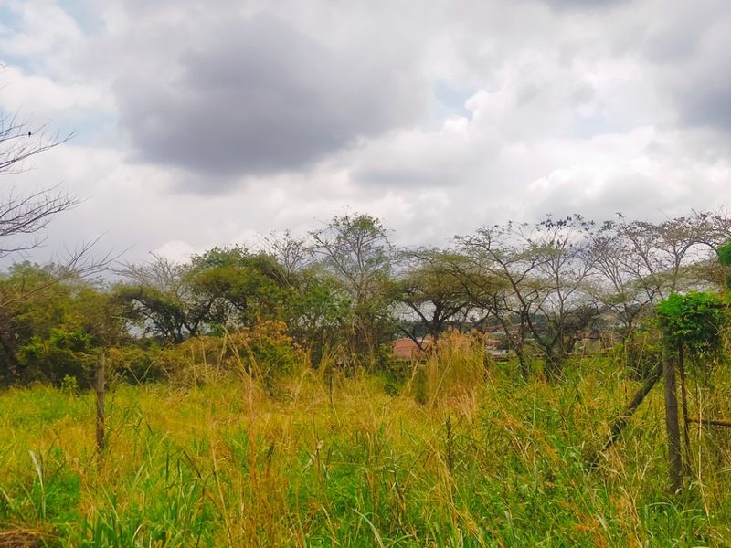 A view of a vacant residential plot featuring overgrown grass, mature trees, and existing wire fencing with a metal gate.