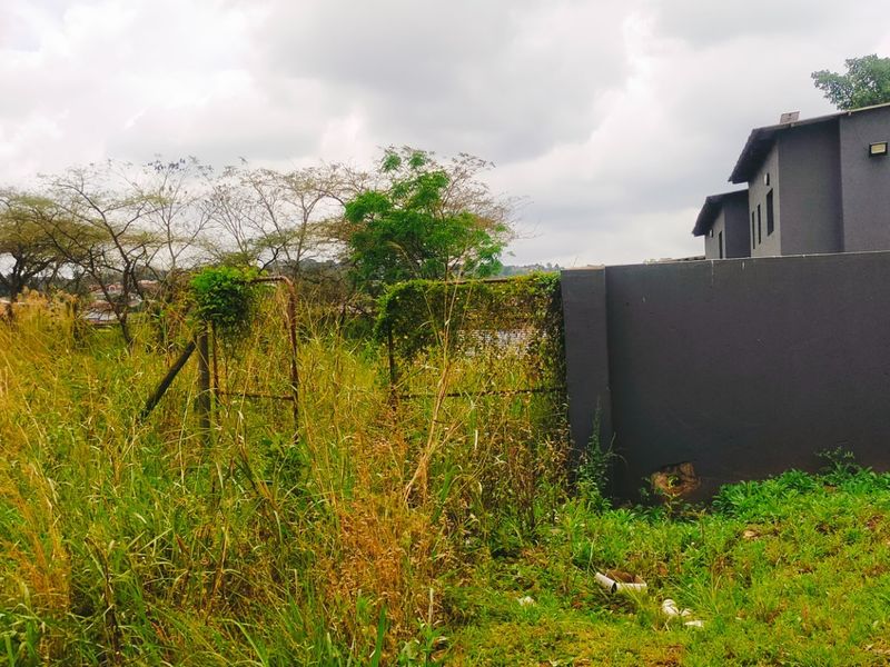 A view of the rear section of the residential land, featuring a perimeter wall, water tank, and overgrown vegetation.