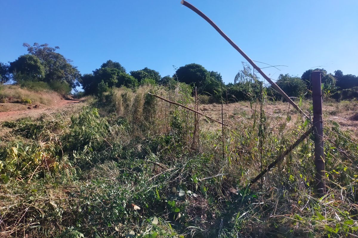 A view of a vacant residential plot featuring overgrown vegetation and damaged wire fencing.