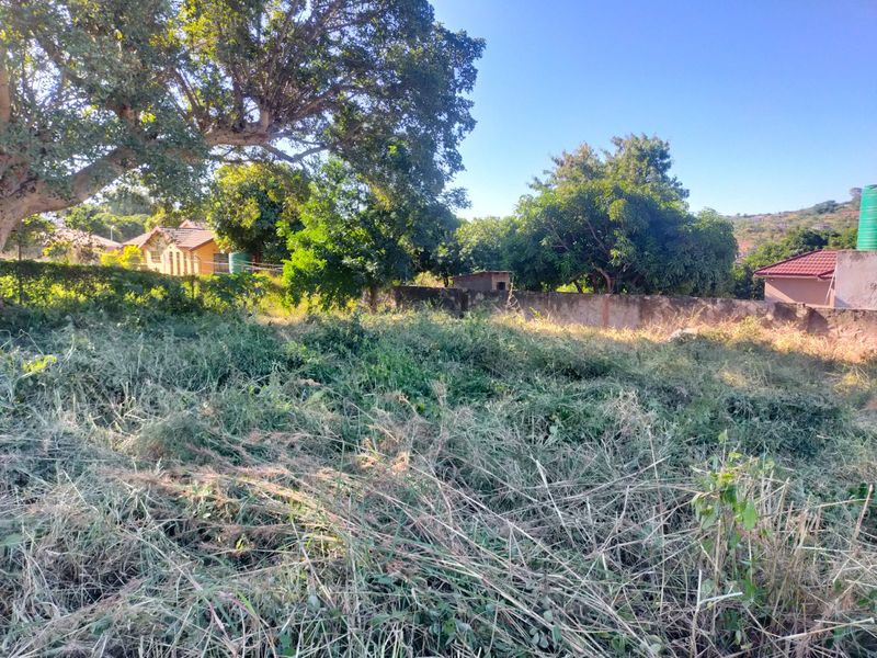 A vacant residential plot featuring overgrown vegetation, mature trees, and an existing boundary wall, offering potential for future development.