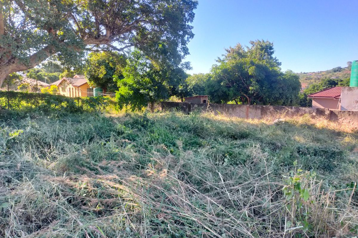 A vacant residential plot featuring overgrown vegetation, mature trees, and an existing boundary wall, offering potential for future development.