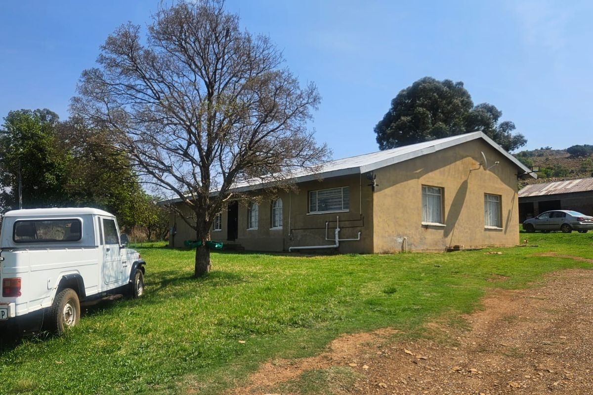 Rear view of a single-story farmhouse featuring a metal roof and plastered exterior walls set on a rural property.