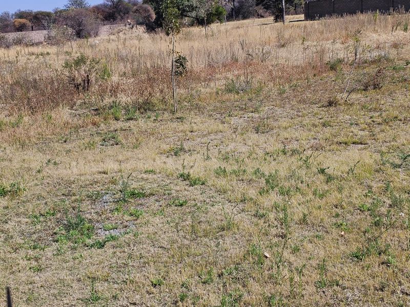 A view of the vacant residential land featuring natural grass cover and a perimeter boundary wall in the background.