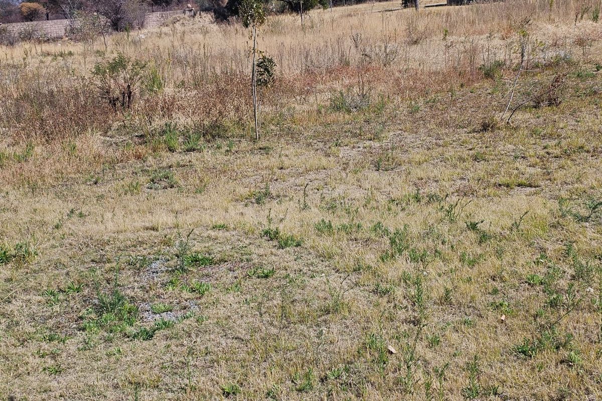 A view of the vacant residential land featuring natural grass cover and a perimeter boundary wall in the background.
