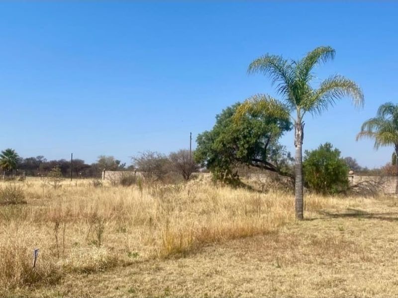A vacant residential plot featuring established palm trees, natural vegetation, and a perimeter wall, offering a clear space for future development.