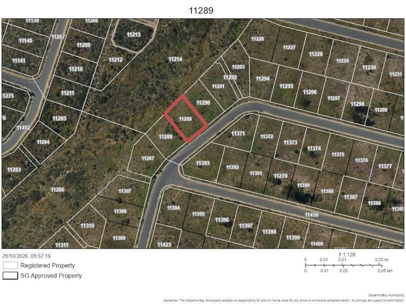 An aerial cadastral map showing the location and boundaries of the vacant residential property plot 11289 within the surrounding estate layout.