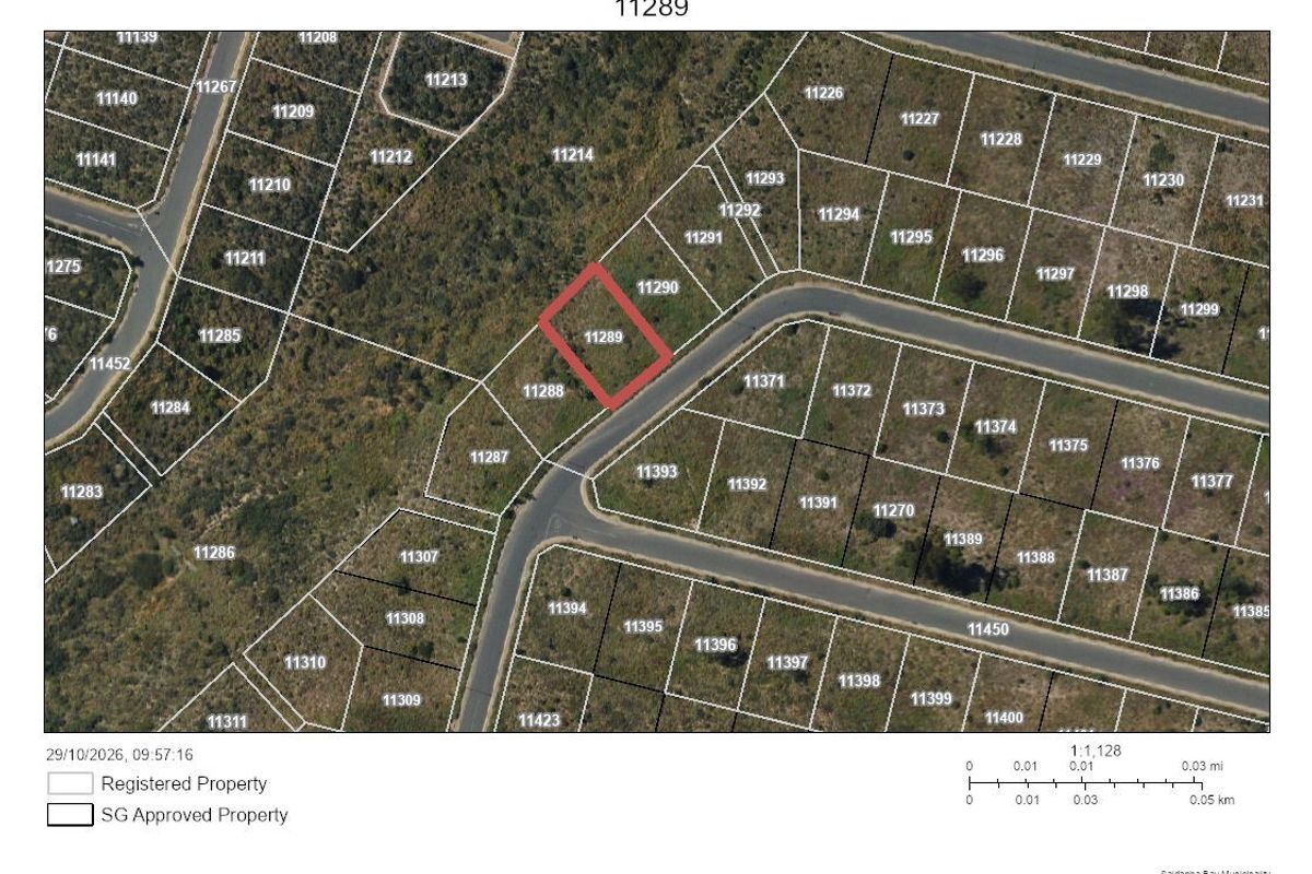 An aerial cadastral map showing the location and boundaries of the vacant residential property plot 11289 within the surrounding estate layout.