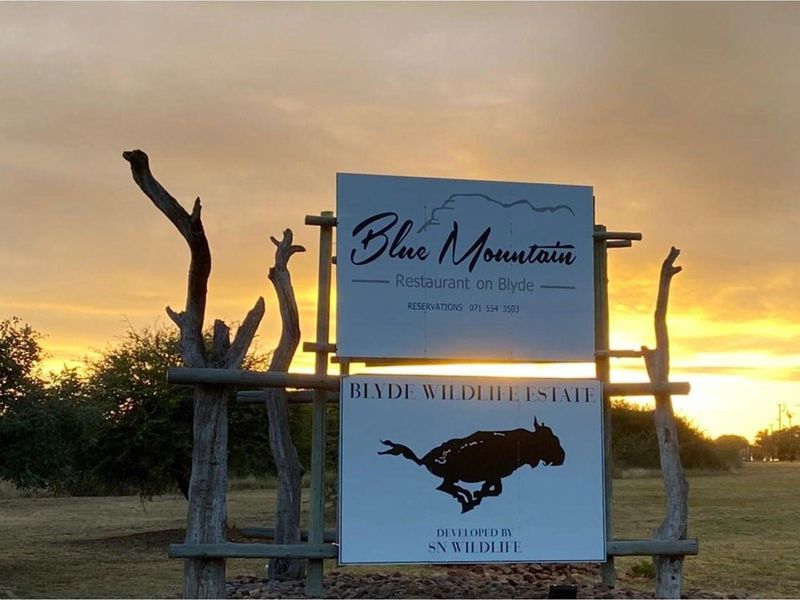 Vacant Land For Sale in Blyde Wildlife Estate, Hoedspruit - Photo 4