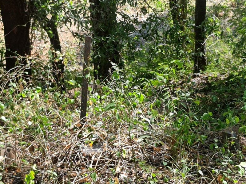 Vacant Land For Sale in Blyde Wildlife Estate, Hoedspruit - Photo 2