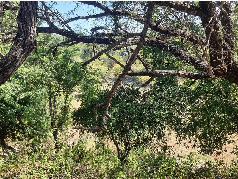 Vacant Land For Sale in Blyde Wildlife Estate, Hoedspruit - Photo 3