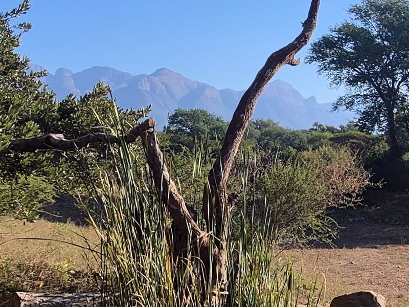 A scenic view of the surrounding mountain range and natural landscape, showcasing the tranquil environment of the vacant land.
