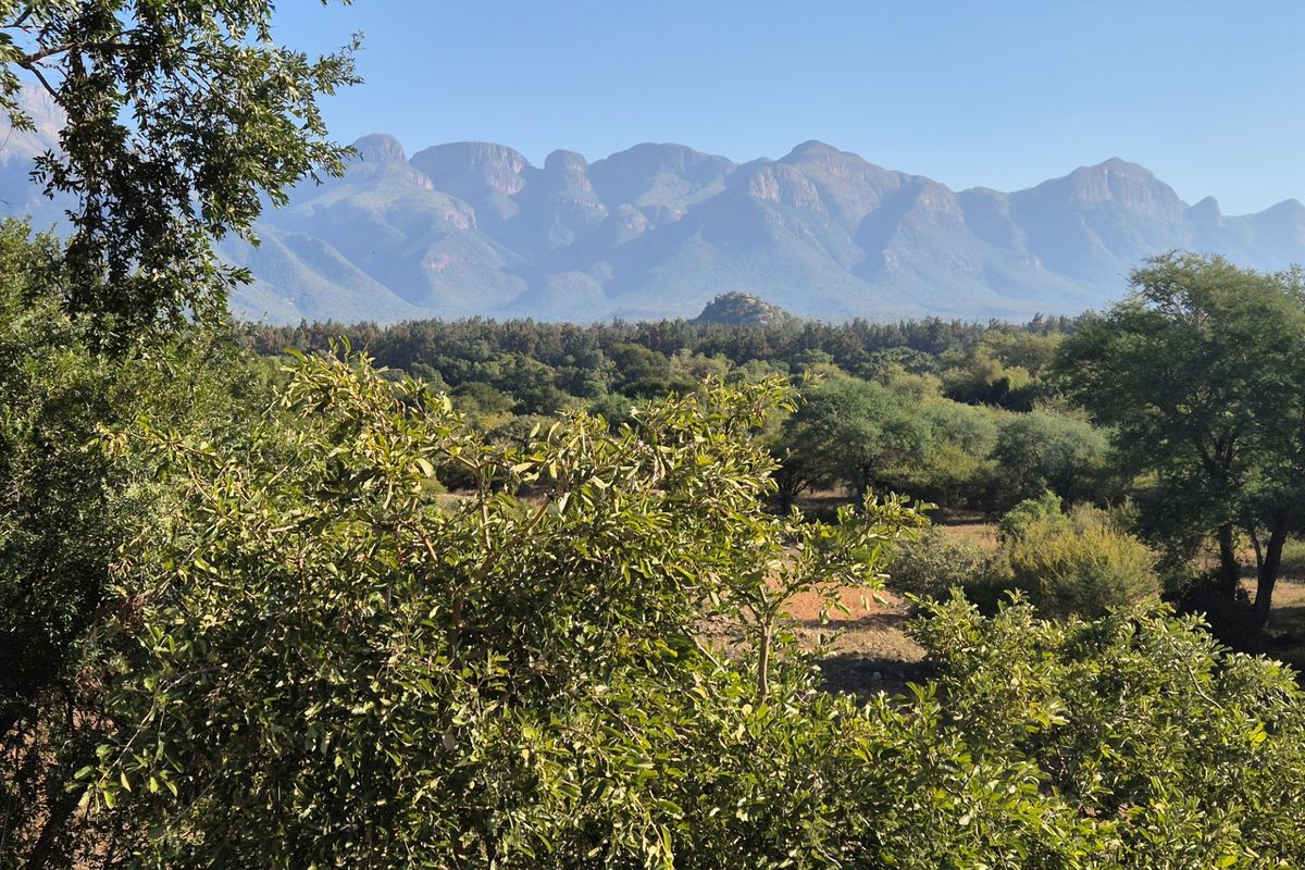 A scenic view of a mountain range overlooking a lush, natural landscape with native trees and shrubs.