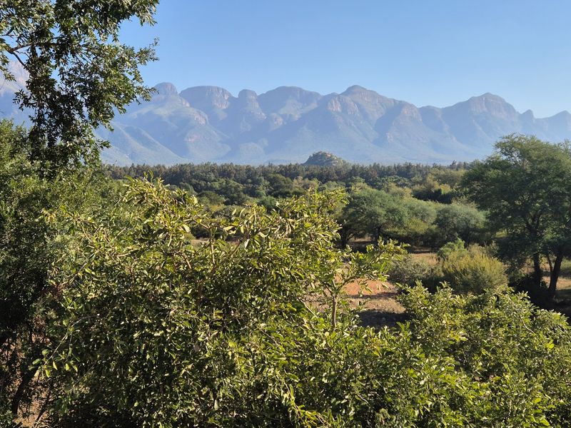 A scenic view of a mountain range overlooking a lush, natural landscape with native trees and shrubs.