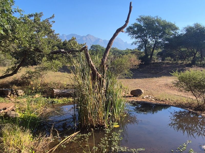 A serene natural pond feature set within a landscaped garden area, showcasing indigenous vegetation and scenic mountain views in the background.