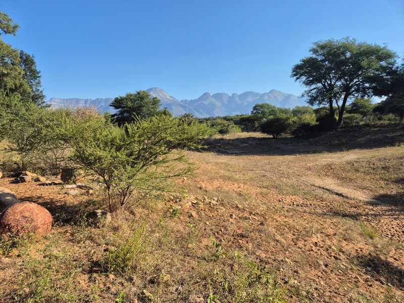 A scenic view of the natural landscape featuring indigenous trees and expansive mountain vistas on this vacant residential property.