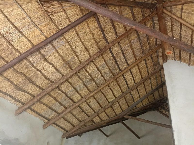 A view of an exposed thatched roof structure with timber rafters and beams, showcasing a rustic architectural design.