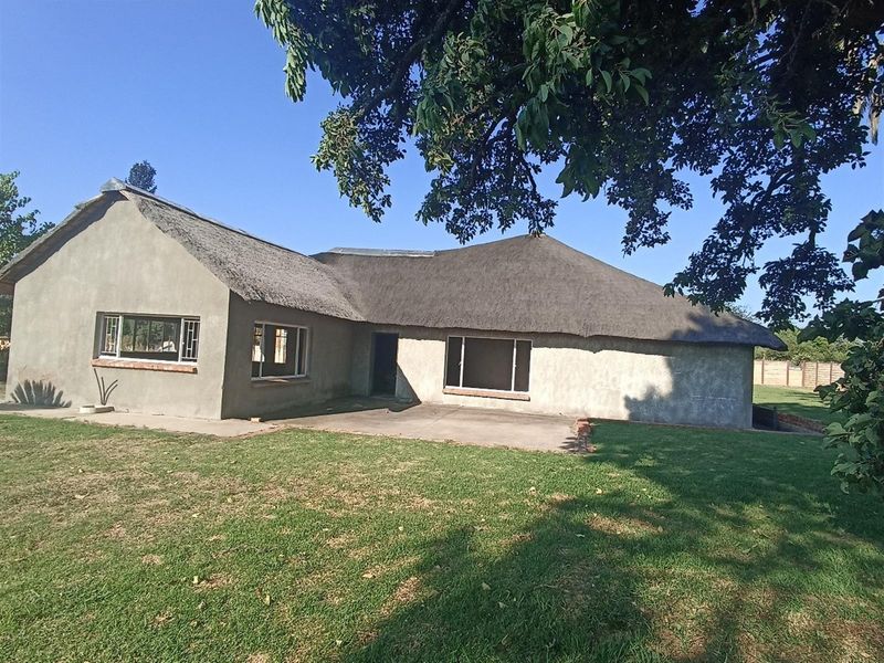 Rear view of a farmhouse featuring a traditional thatched roof, concrete patio area, and surrounding lawn under mature trees.