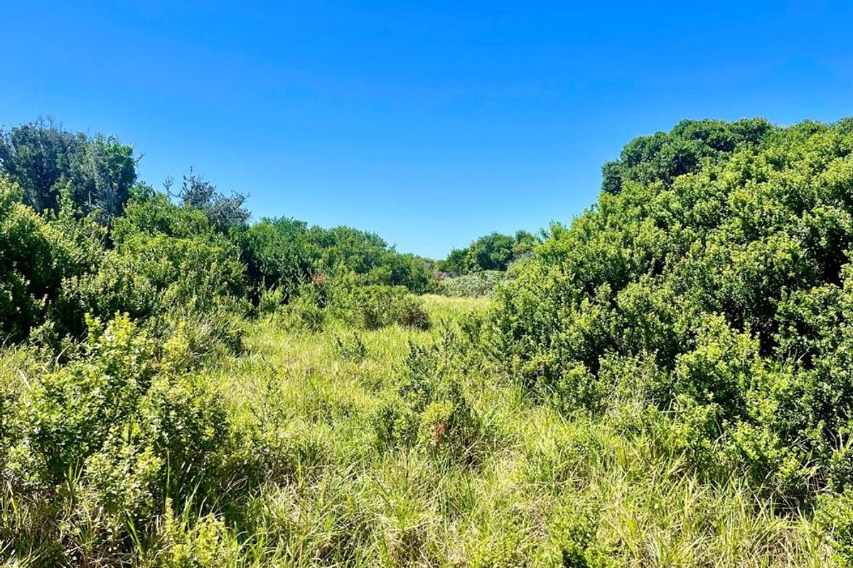 Rare Opportunity! Flat Vacant Stand 40m from the Beach with Ocean Views - Paradise Beach - Photo 2