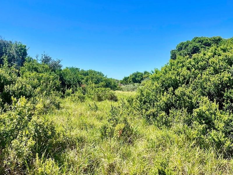 Rare Opportunity! Flat Vacant Stand 40m from the Beach with Ocean Views - Paradise Beach - Photo 2