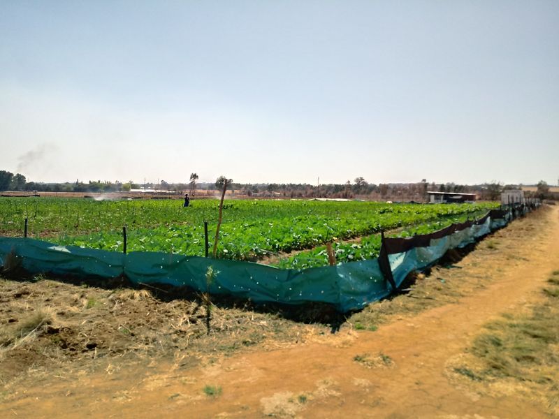 Farm For Sale in Bapsfontein, Bronkhorstspruit - Photo 2