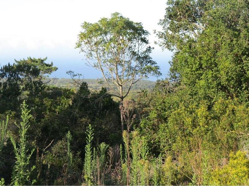 Vacant landFor Sale in Chelsea, Port Elizabeth - Photo 10