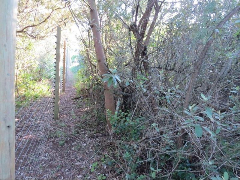 Vacant landFor Sale in Chelsea, Port Elizabeth - Photo 9